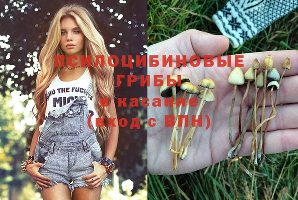 спиды Абинск