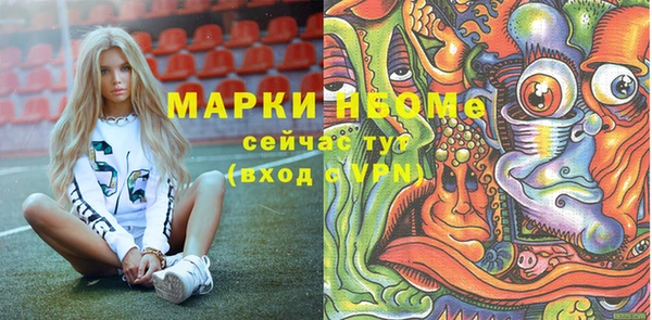 сатива Нефтекумск