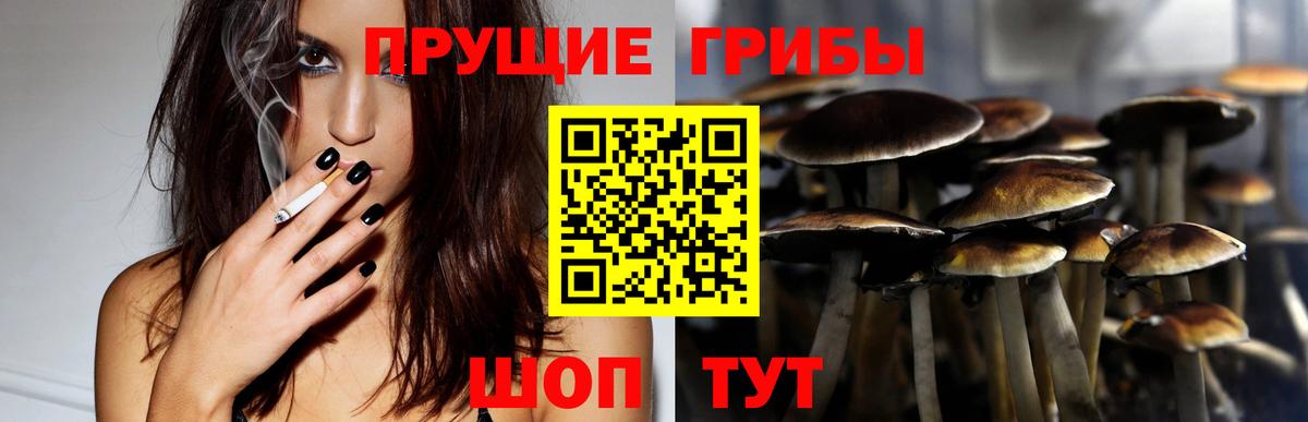 Псилоцибиновые грибы мухоморы Шадринск