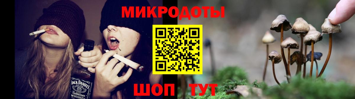 Галлюциногенные грибы мицелий  наркотики  Галлюциногенные грибы прущие грибы  Шадринск  Вход с VPN 